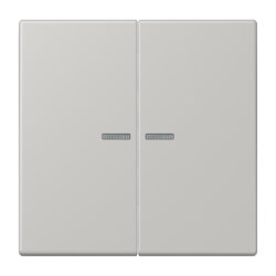 Jung Wippe 2fach mit Lichtleiter, Serie LS, gris clair 31...