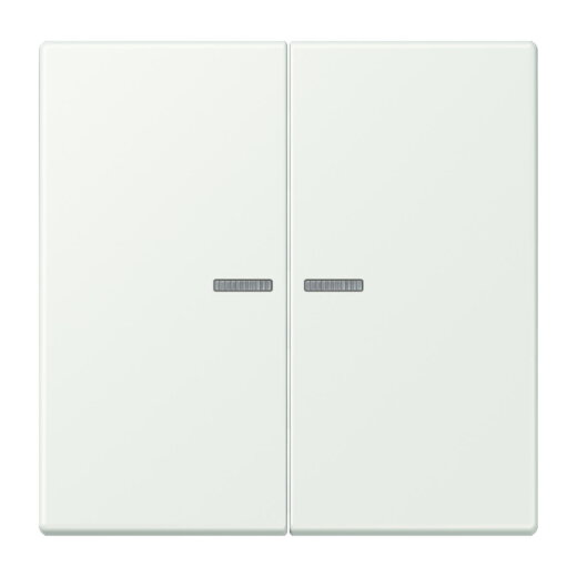 Jung Wippe 2fach mit Lichtleiter, Serie LS, outremer gris LC995KO5210