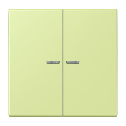 Jung Wippe 2fach mit Lichtleiter, Serie LS, vert jaune clair LC995KO5222