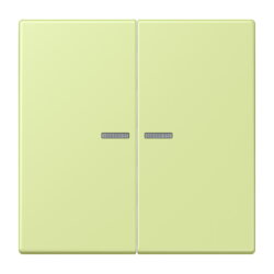 Jung Wippe 2fach mit Lichtleiter, Serie LS, vert jaune...