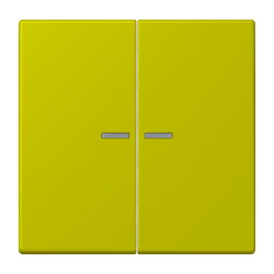 Jung Wippe 2fach mit Lichtleiter, Serie LS, vert olive...