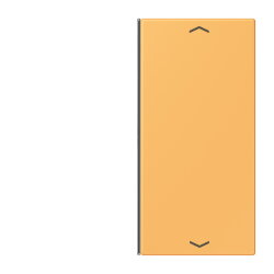 Jung Taste 2fach, mit Pfeilsymbolen, F40, Serie LS, ocre...