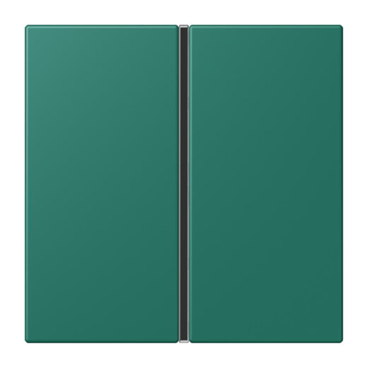 Jung Tastensatz 1fach, F40, Serie LS, vert anglais LC401TSA216