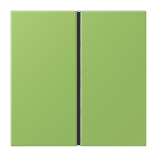 Jung Tastensatz 1fach, F40, Serie LS, vert 31 LC401TSA220