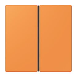 Jung Tastensatz 1fach, F40, Serie LS, orange clair...