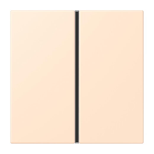 Jung Tastensatz 1fach, F40, Serie LS, terre sienne pâle LC401TSA238