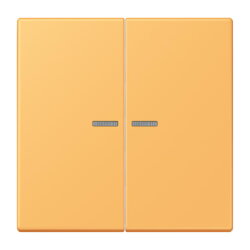 Jung Wippe 2fach mit Lichtleiter, Serie LS, ocre jaune...