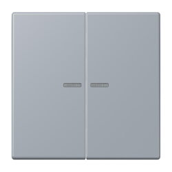 Jung Wippe 2fach mit Lichtleiter, Serie LS, gris clair 59...