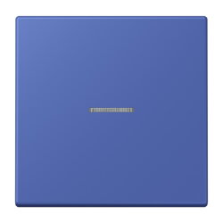 Jung Wippe 1fach mit Lichtleiter, Serie LS, bleu outremer...