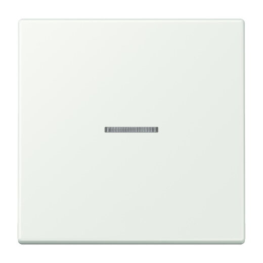 Jung Wippe 1fach mit Lichtleiter, Serie LS, outremer gris LC990KO5210