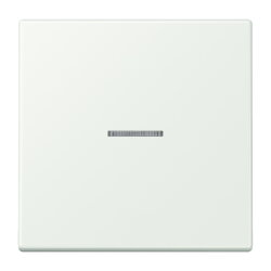 Jung Wippe 1fach mit Lichtleiter, Serie LS, outremer gris...