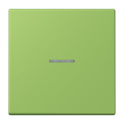 Jung Wippe 1fach mit Lichtleiter, Serie LS, vert 31...