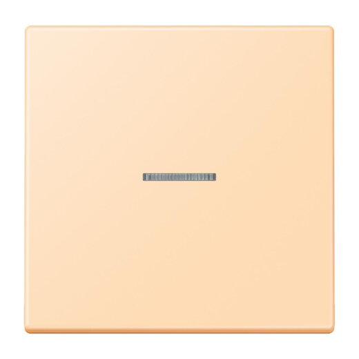 Jung Wippe 1fach mit Lichtleiter, Serie LS, ocre LC990KO5223