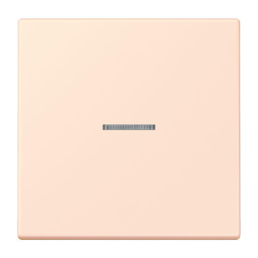 Jung Wippe 1fach mit Lichtleiter, Serie LS, orange pâle LC990KO5226