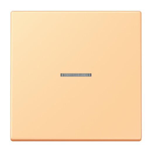 Jung Wippe 1fach mit Lichtleiter, Serie LS, terre sienne claire 59 LC990KO5258