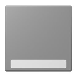 Jung Wippe 1fach, mit Schriftfeld, Serie LS, gris 31...