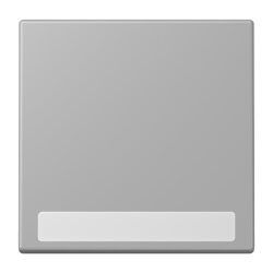 Jung Wippe 1fach, mit Schriftfeld, Serie LS, gris moyen...