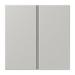 Jung Tastensatz 2fach, F40, Serie LS, gris clair 31...