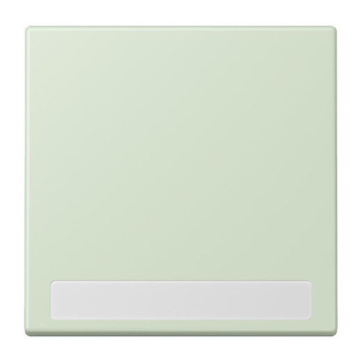 Jung Wippe 1fach, mit Schriftfeld, Serie LS, vert anglâis pale LC990NA218