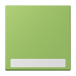 Jung Wippe 1fach, mit Schriftfeld, Serie LS, vert 31...