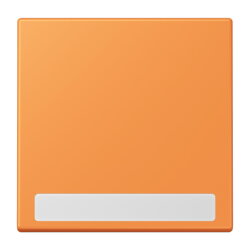 Jung Wippe 1fach, mit Schriftfeld, Serie LS, orange clair...