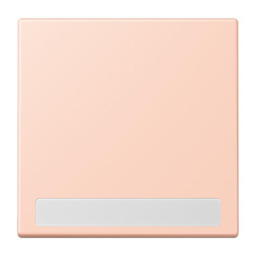 Jung Wippe 1fach, mit Schriftfeld, Serie LS, locre rouge clair LC990NA234