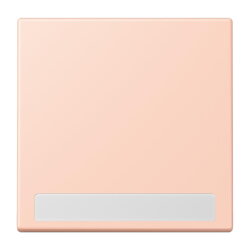 Jung Wippe 1fach, mit Schriftfeld, Serie LS, locre rouge...