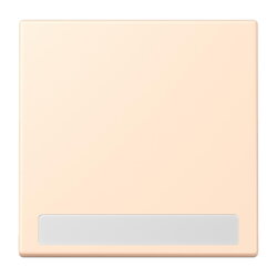 Jung Wippe 1fach, mit Schriftfeld, Serie LS, terre sienne...