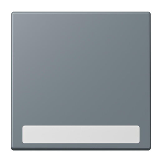 Jung Wippe 1fach, mit Schriftfeld, Serie LS, gris 59 LC990NA251