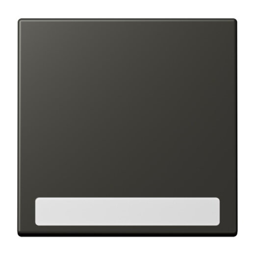 Jung Wippe 1fach, mit Schriftfeld, Serie LS, ombre naturelle 59 LC990NA259