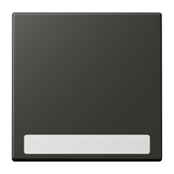 Jung Wippe 1fach, mit Schriftfeld, Serie LS, ombre...