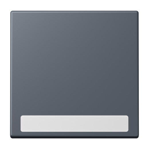 Jung Wippe 1fach, mit Schriftfeld, Serie LS, gris fonce 59 LC990NA262