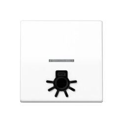 Jung Wippe 1fach mit Lichtleiter, mit abtastbarem Symbol...