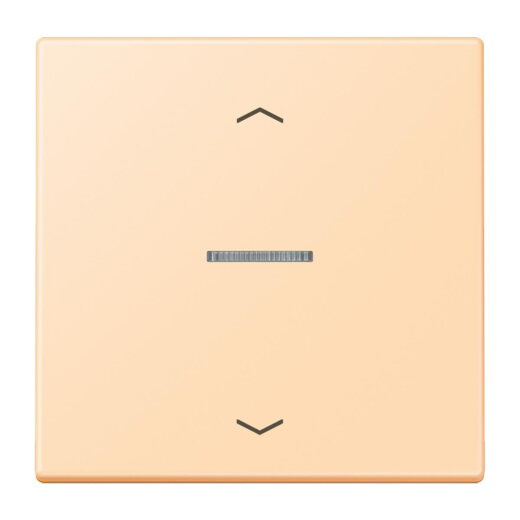 Jung Wippe mit Lichtleiter, mit Pfeilsymbolen für Taster 1fach, Serie LS, ocre LC101KO5P223