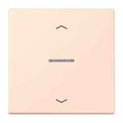 Jung Wippe mit Lichtleiter, mit Pfeilsymbolen für...