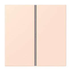 Jung Tastensatz 2fach, F40, Serie LS, orange pâle...