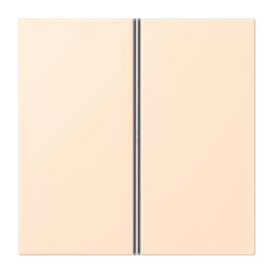 Jung Tastensatz 2fach, F40, Serie LS, terre sienne...