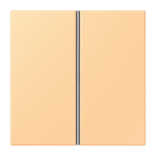 Jung Tastensatz 2fach, F40, Serie LS, terre sienne claire 59 LC402TSA258