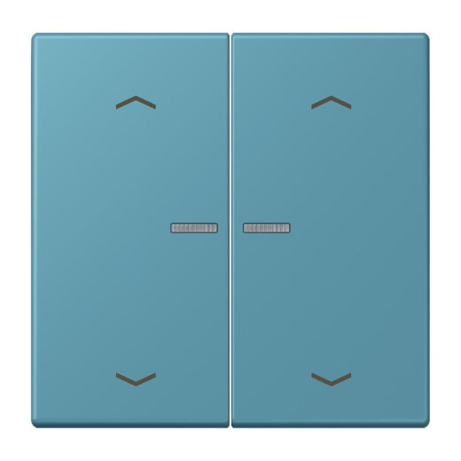 Jung Wippe mit Lichtleiter, mit Pfeilsymbolen für Taster 2fach, Serie LS, céruléen vif LC102KO5P212