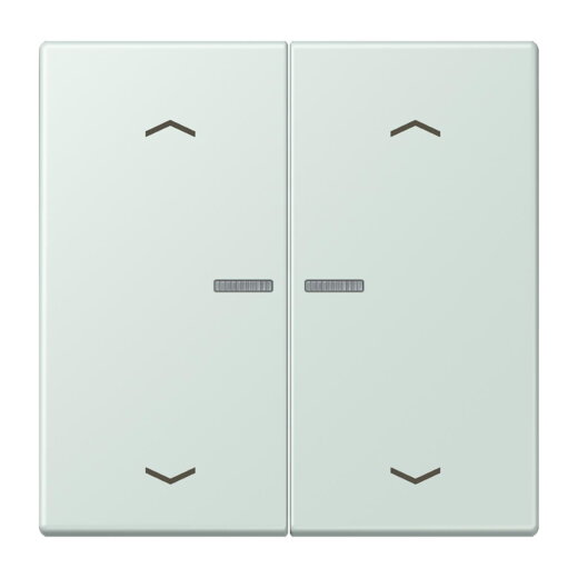 Jung Wippe mit Lichtleiter, mit Pfeilsymbolen für Taster 2fach, Serie LS, céruléen pale LC102KO5P215