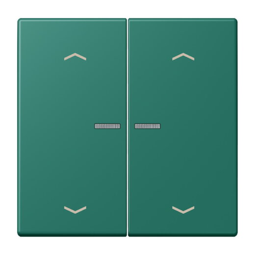 Jung Wippe mit Lichtleiter, mit Pfeilsymbolen für Taster 2fach, Serie LS, vert anglais LC102KO5P216