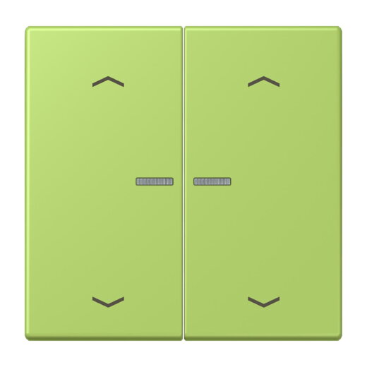 Jung Wippe mit Lichtleiter, mit Pfeilsymbolen für Taster 2fach, Serie LS, vert clair LC102KO5P221