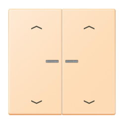 Jung Wippe mit Lichtleiter, mit Pfeilsymbolen für...