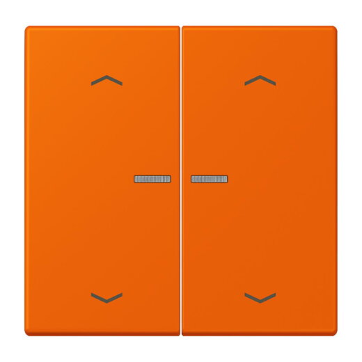 Jung Wippe mit Lichtleiter, mit Pfeilsymbolen für Taster 2fach, Serie LS, orange LC102KO5P224