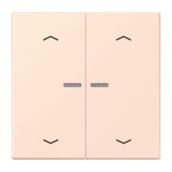 Jung Wippe mit Lichtleiter, mit Pfeilsymbolen für...