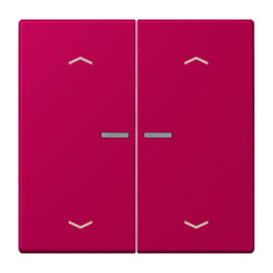 Jung Wippe mit Lichtleiter, mit Pfeilsymbolen für...