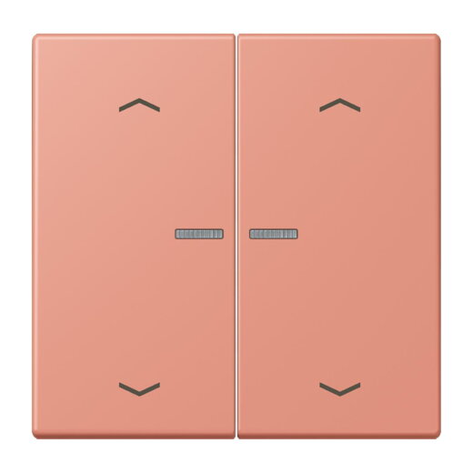 Jung Wippe mit Lichtleiter, mit Pfeilsymbolen für Taster 2fach, Serie LS, locre rouge moyen LC102KO5P233