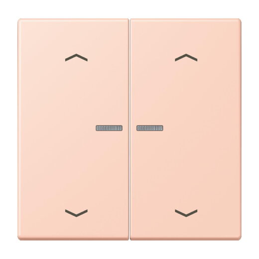 Jung Wippe mit Lichtleiter, mit Pfeilsymbolen für Taster 2fach, Serie LS, locre rouge clair LC102KO5P234