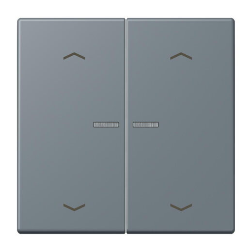 Jung Wippe mit Lichtleiter, mit Pfeilsymbolen für Taster 2fach, Serie LS, gris 59 LC102KO5P251