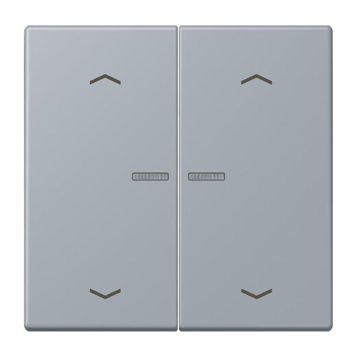 Jung Wippe mit Lichtleiter, mit Pfeilsymbolen für Taster 2fach, Serie LS, gris clair 59 LC102KO5P257